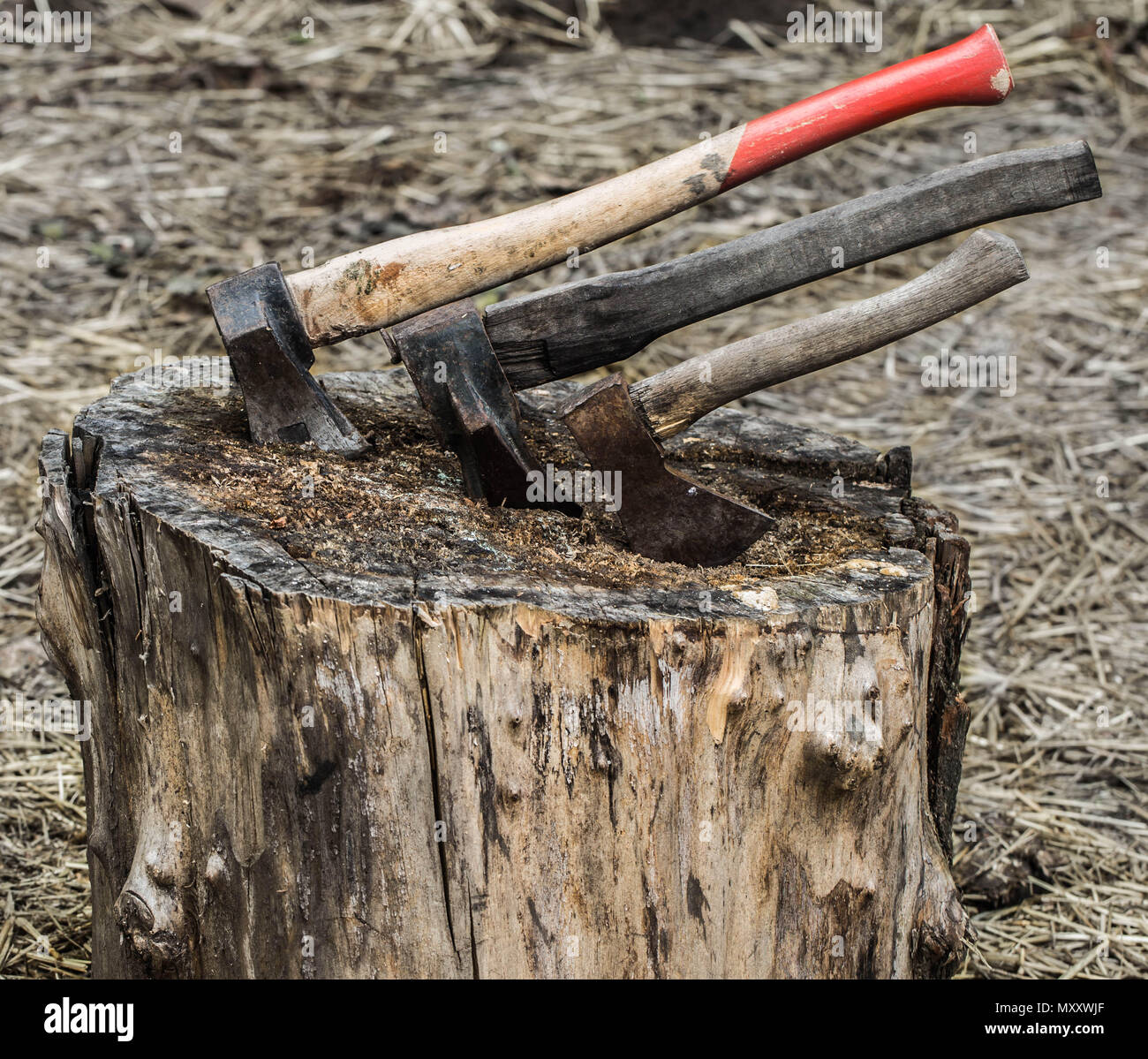 Axe Stuck In Treeold Axe Stuck In A Stump On A Background Of Straw