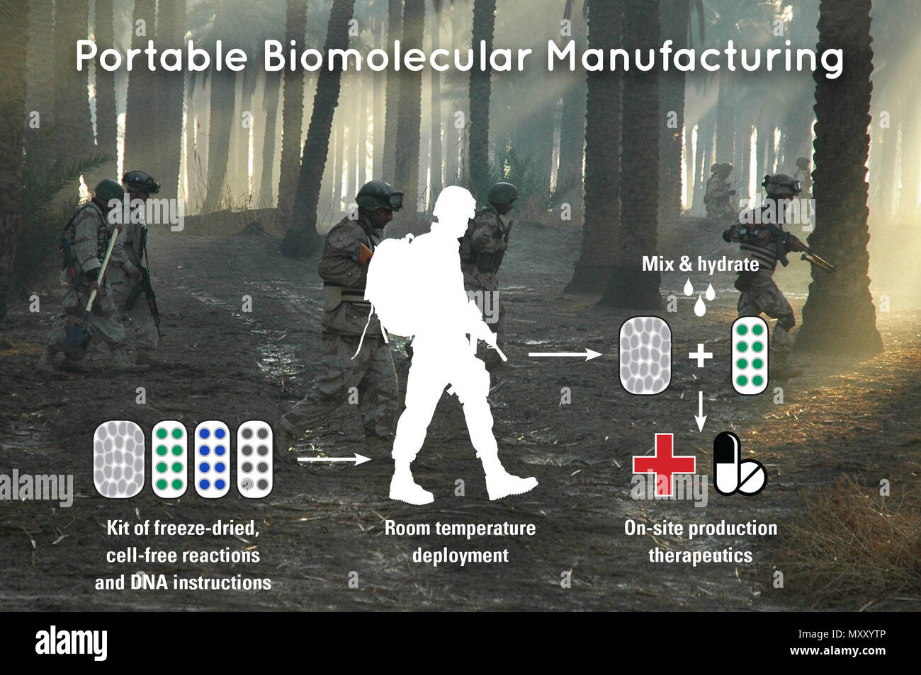 By combining freezedried, cellfree (FDCF) reaction pellets with DNA