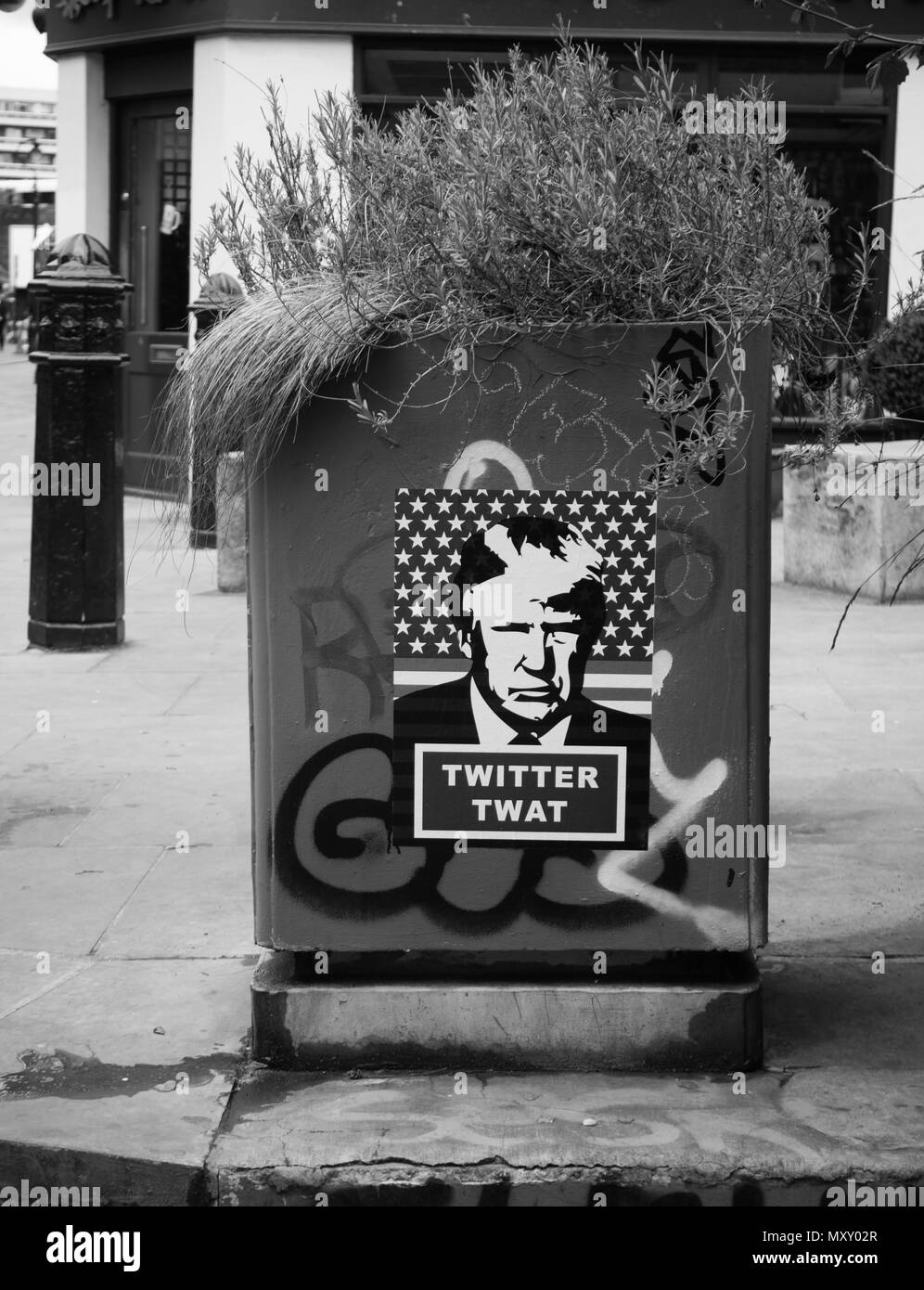 Poster of an satirical image looking like Donald Trump reading 'twitter twat' seen on a London street planter Stock Photo