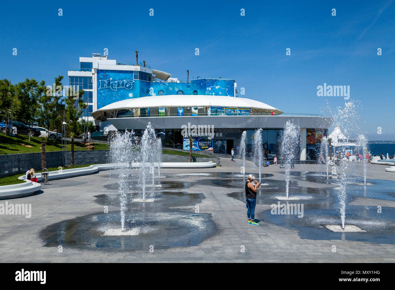 Nemo dolphinarium hi-res stock photography and images - Alamy