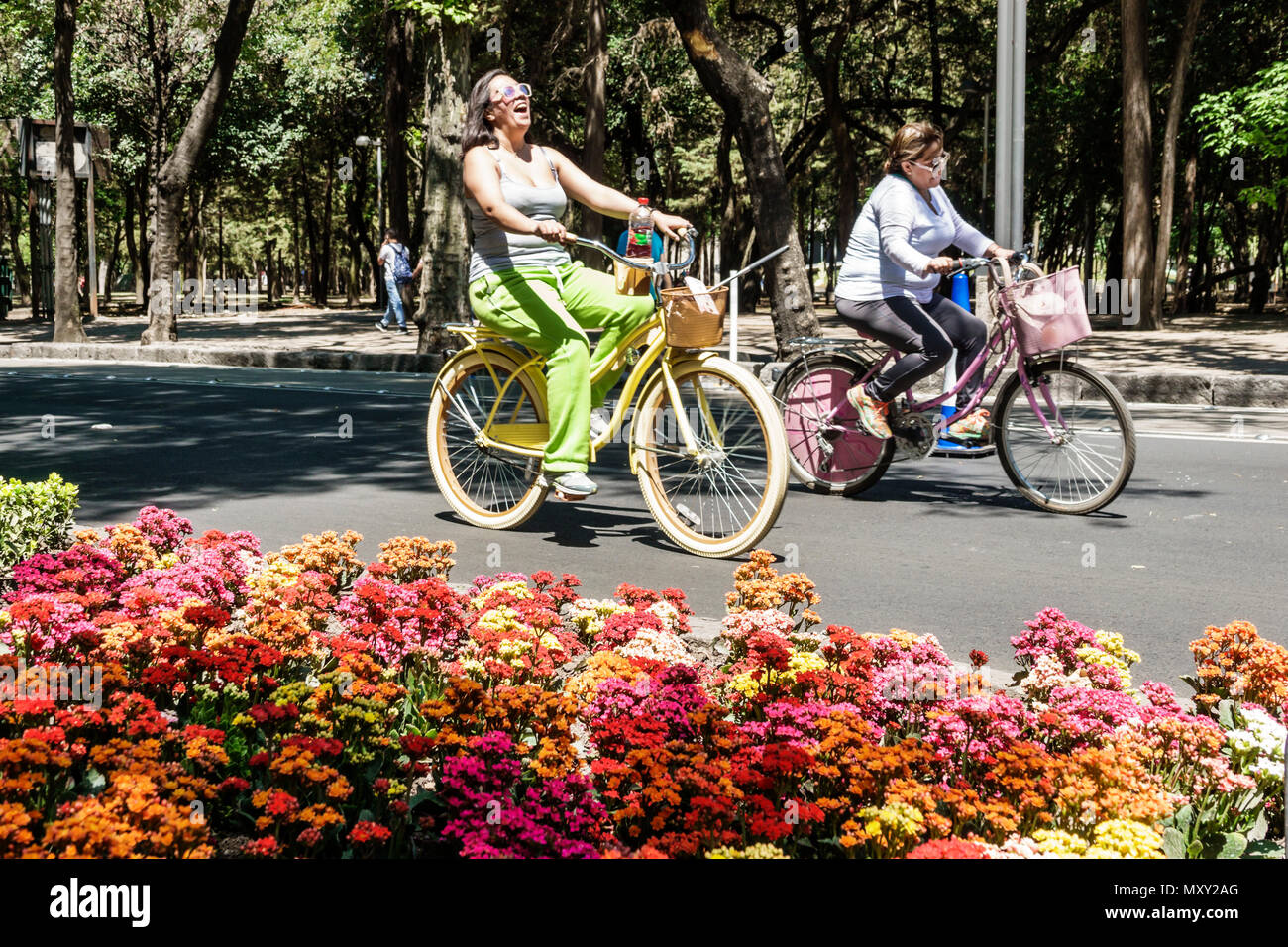 Mexico City,Hispanic Bosque de Chapultepec forest,Paseo la Reforma,Muevete en Bici,Move by Bike,car-free Sundays bicycle bicycles bicycling riding bik Stock Photo