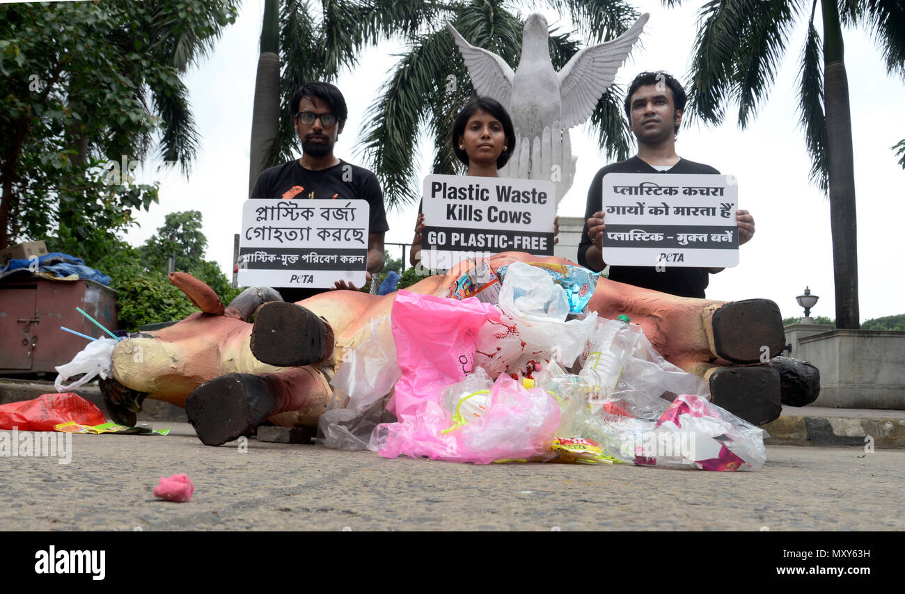 kolkata india 04th june 2018 people for the ethical treatment of animals peta members hold placards https www alamy com kolkata india 04th june 2018 people for the ethical treatment of animals peta members hold placards as they pose with a model of a cow carcass during the awareness campaign on the bad effect of usage of plastic ahead of world environment day activist of from people for the ethical treatment of animals peta displayed a model of cow carcass during an awareness campaign on the bad effect of usage of plastic ahead of world environment day credit saikat paulpacific pressalamy live news image188682245 html