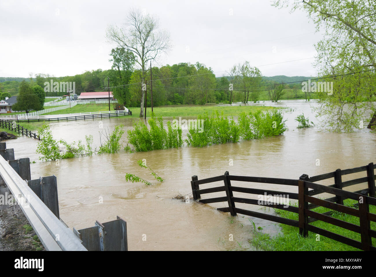 Streams Overflow Their Banks Caused By Days Of Rain In Oak Ridge Tennessee Stock Photo Alamy alamy