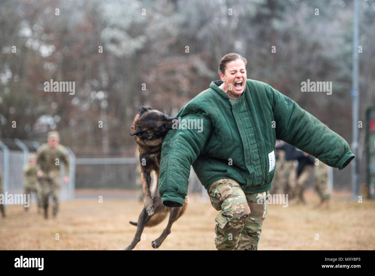 Military working dog handlers from the 100th Detachment demonstrate ...