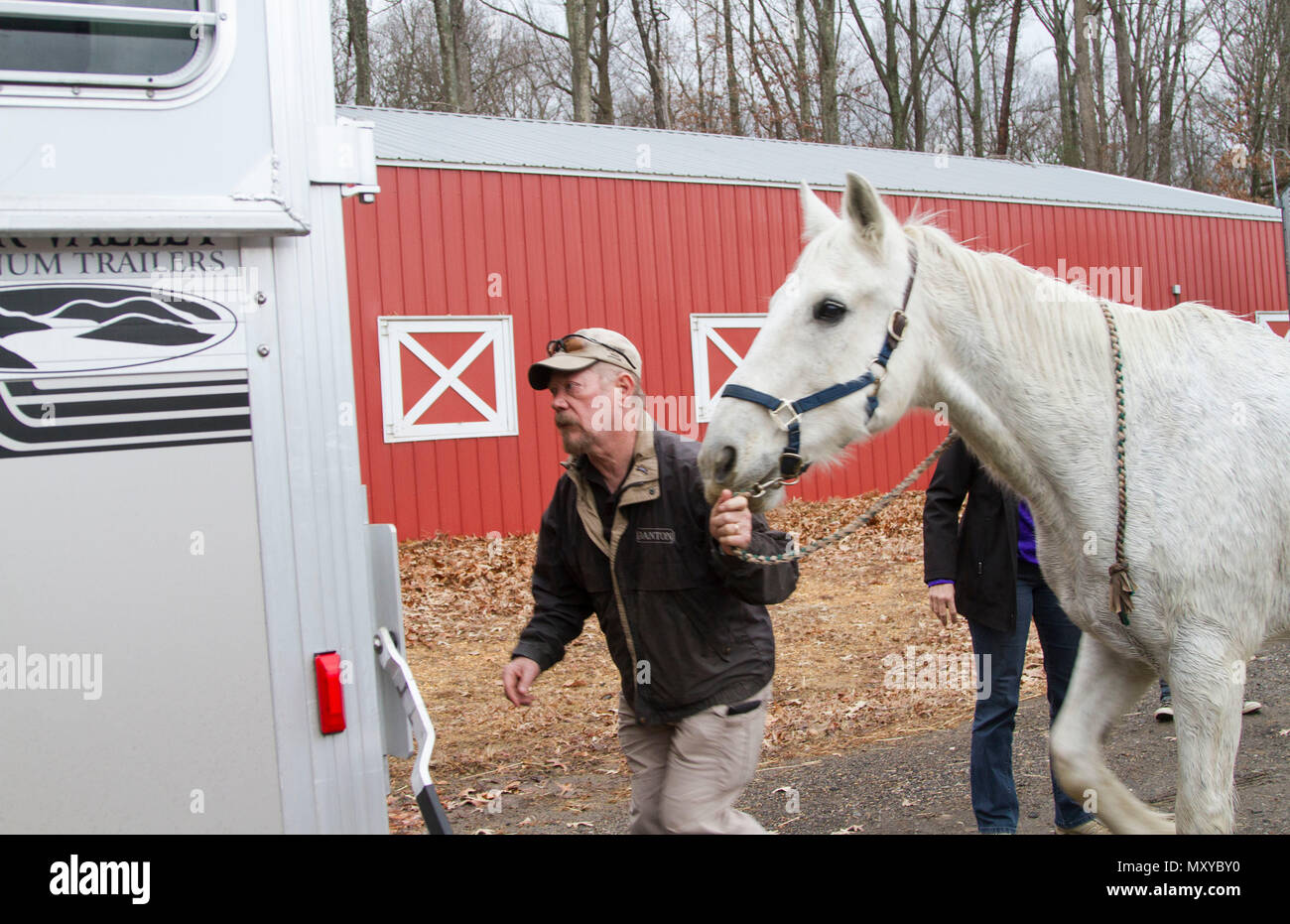 Michael Murphy, Caisson horse adopter, prepares Surefire, for the ride