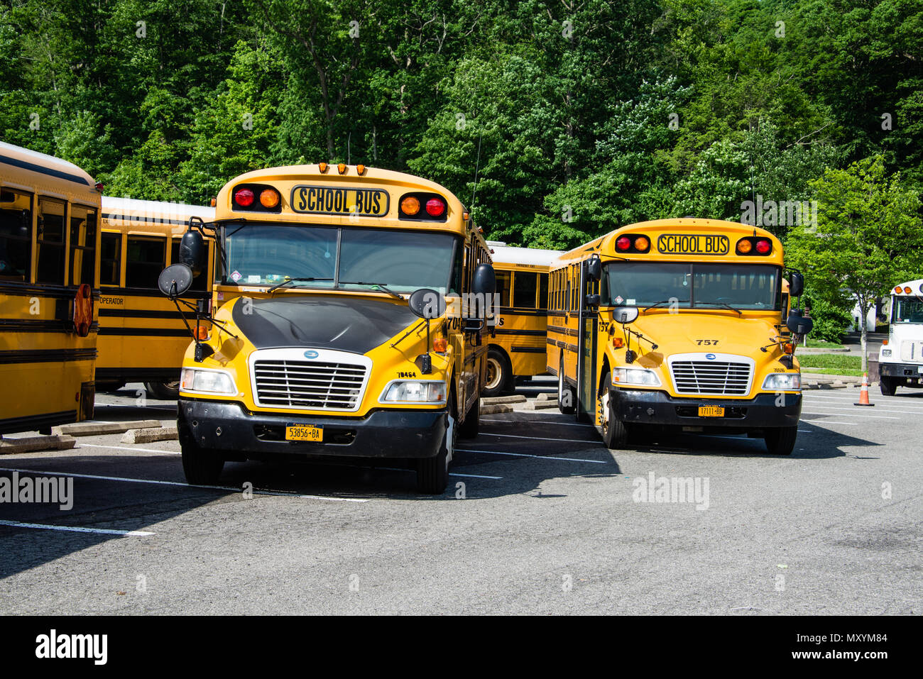 New york school buses hi-res stock photography and images - Alamy