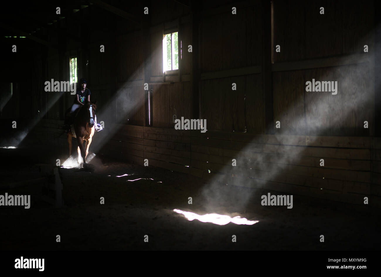 UNITED STATES: June 4, 2018:  Shafts of light bean onto an equestrian as she hacks her horse in a large indoor riding arena at Fox Lair Farm. (Photo b Stock Photo