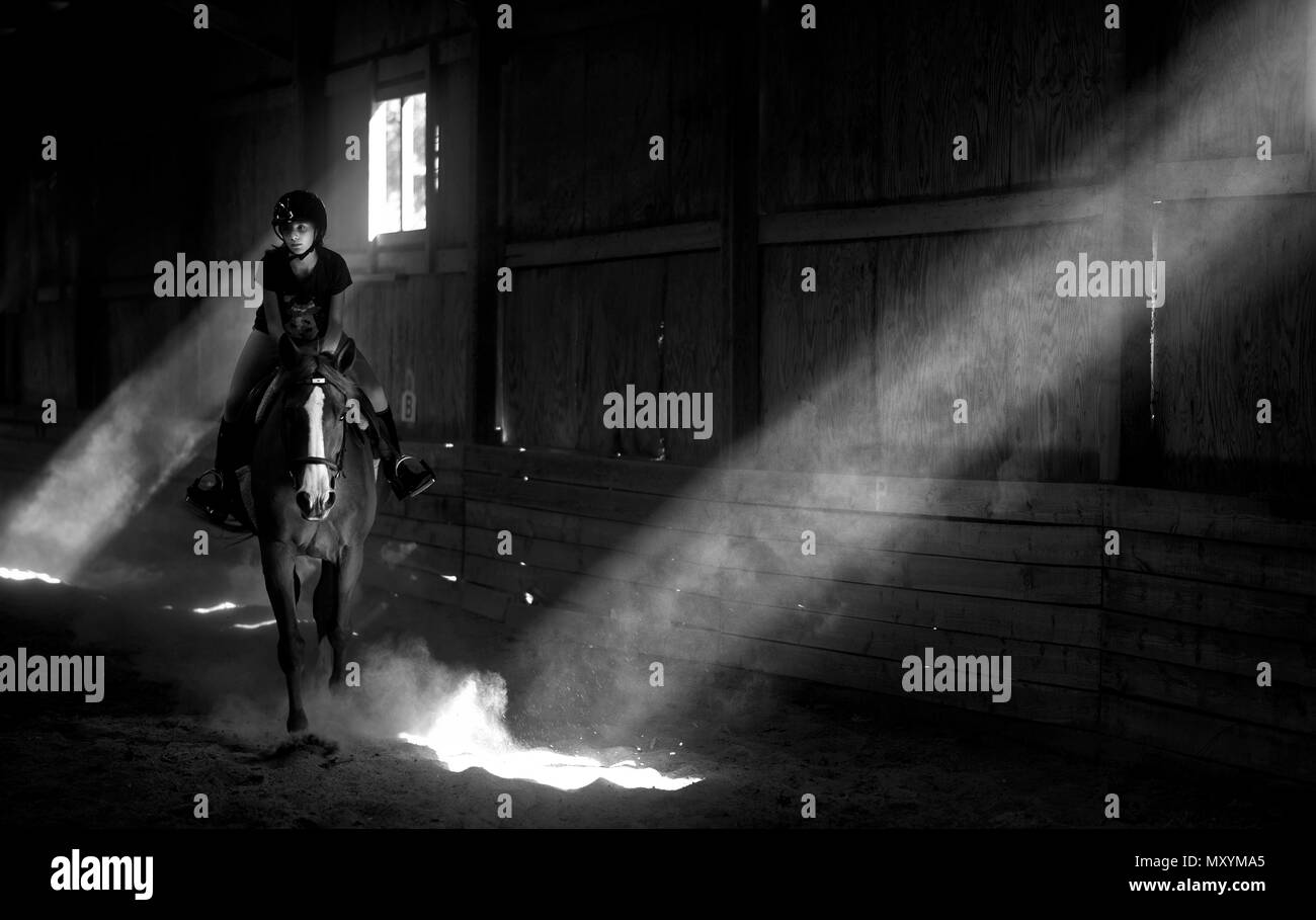 UNITED STATES: June 4, 2018: Welcoming back the sunshine as shafts of light beam into an indoor riding arena as an equestrian hacks her horse after wh Stock Photo