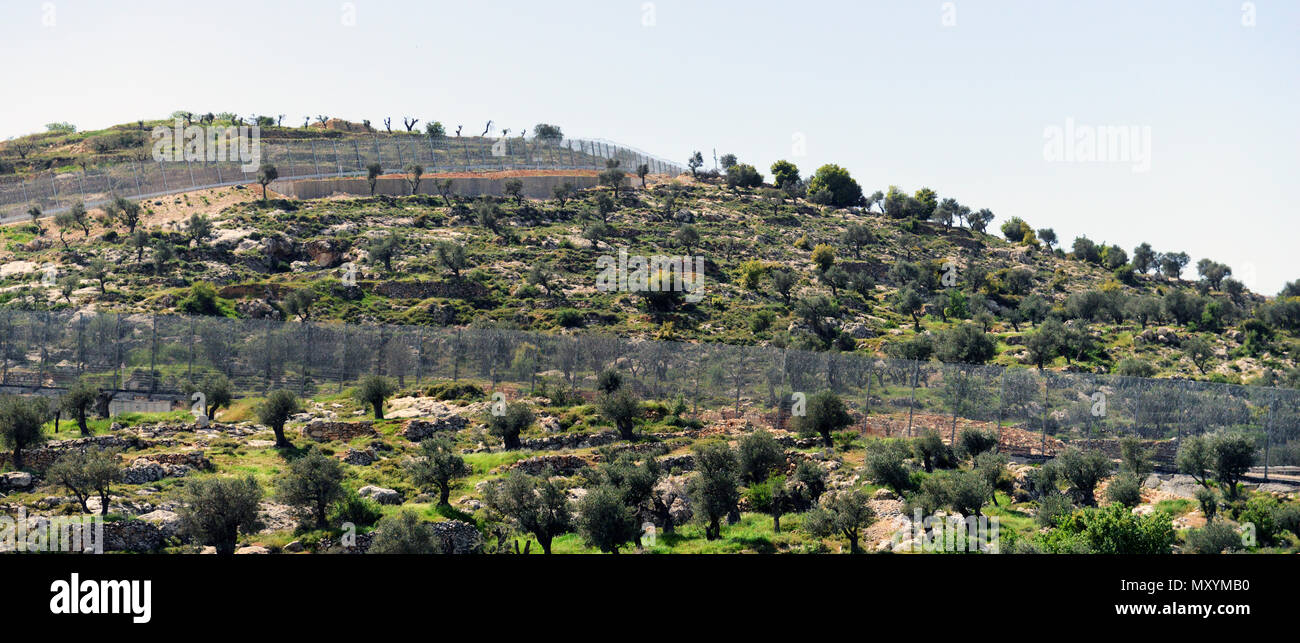 Palestinian landscape hires stock photography and images Alamy