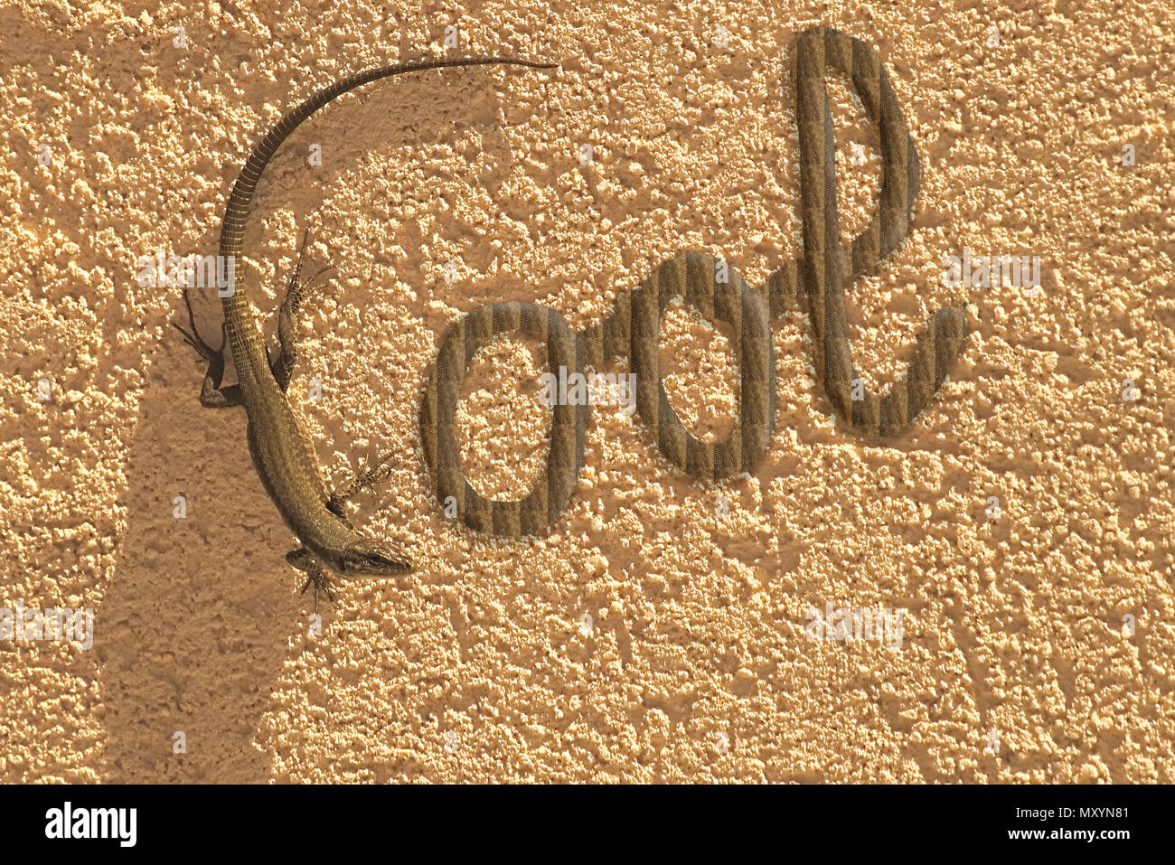 3D illustration of a lizard drawing the C letter of the word cool. Stock Photo