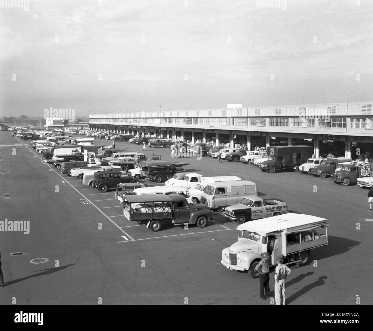 New Brisbane Produce Markets, Rocklea, August 1964. Brisbane’s first Central Market began in 1868 in a Brisbane Municipal Council built shed on the corner of Charlotte and Eagle Streets. It closed in 1881 due to poor patronage.  In 1885, the Council opened the purpose-built Municipal Market in Roma Street, beside the railway station.  Due to increasing congestion, the State Government agreed to move the Central Market to Rocklea in 1964, were the Brisbane Markets are located today. Stock Photo