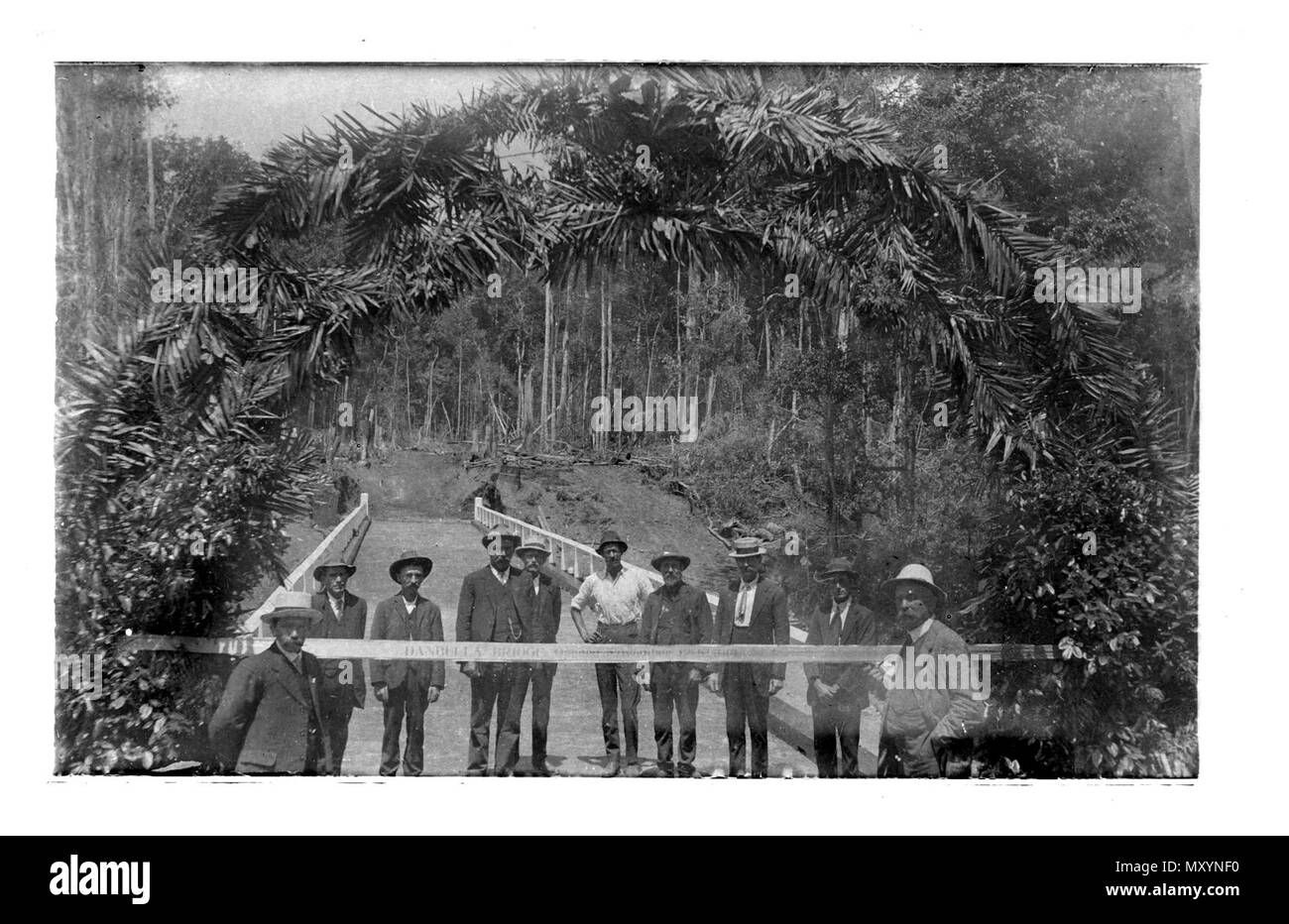 Opening of Danbulla Bridge, Kairi, 12 November 1914. Cairns Post 21 May 1914  Kairi Progress Association 42887140 )   The monthly meeting of the Kairi District Progress Association was held at the Hotel Kairi on Tuesday, 12th May, at 8 p.m.  After formal business was transacted, the following correspondence was dealt with.  From Public Estate Improvement Office, through Mr. Gillies, M.L.A., to the effect that the construction of Danbulla Bridge, etc., would probably begin in May. Stock Photo