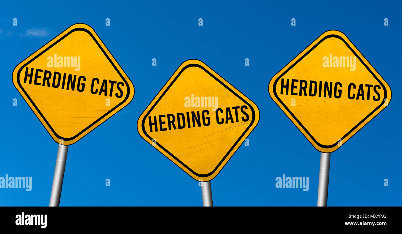 Herding Cats Game - Entertainment Earth