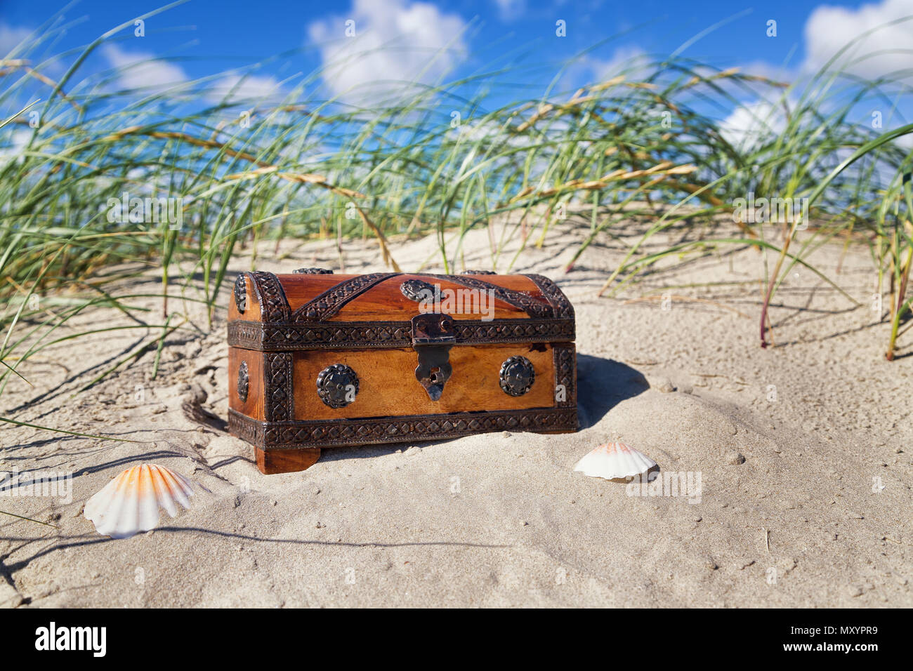 Treasure Box With Seashell Stock Photo - Download Image Now - 2015,  Adventure, Ancient - iStock