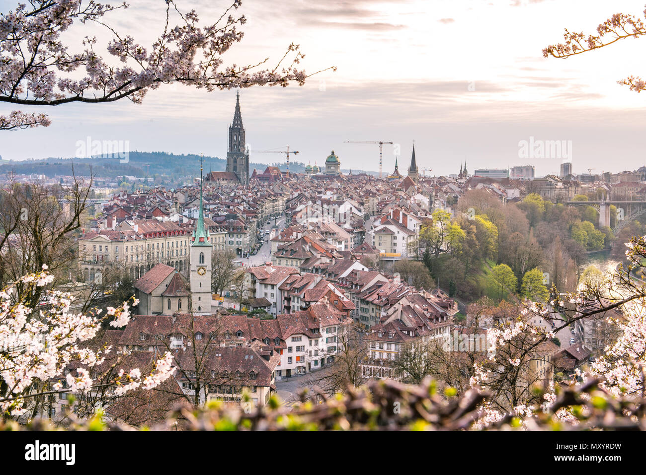 city of Bern during Cherry blossom in spring Stock Photo