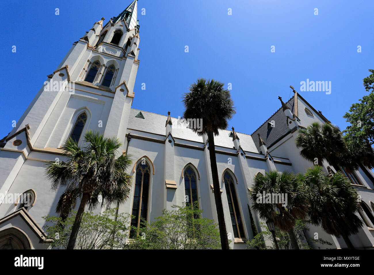 Cathedral of St. John the Baptist in Savannah, Georgia, USA Stock Photo ...
