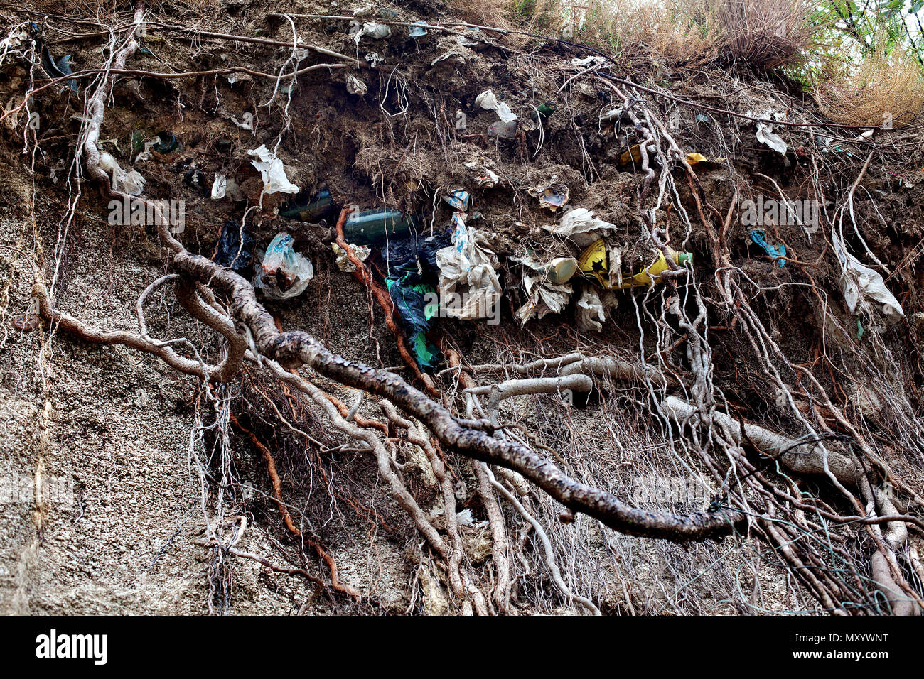 Plastic bags and rubbish mixed with soil, Spain Stock Photo Alamy
