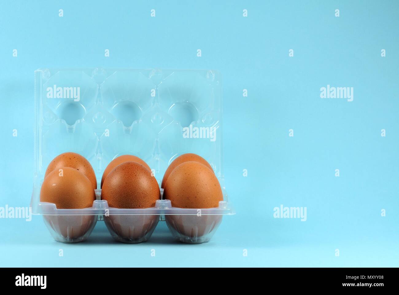 Six hen eggs in container on blue background. Stock Photo