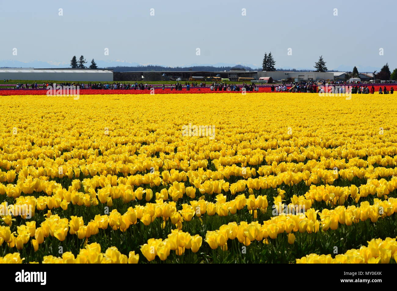 La conner windmill hires stock photography and images Alamy
