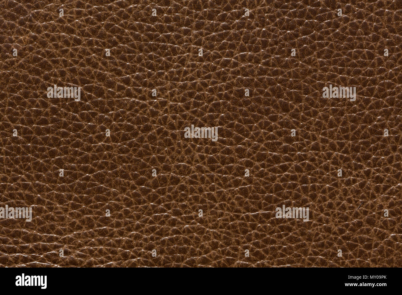 Expensive light brown leather texture. Stock Photo