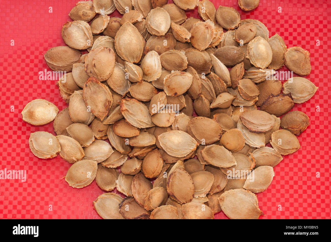 Apricot pits, isolated on white background Stock Photo Alamy