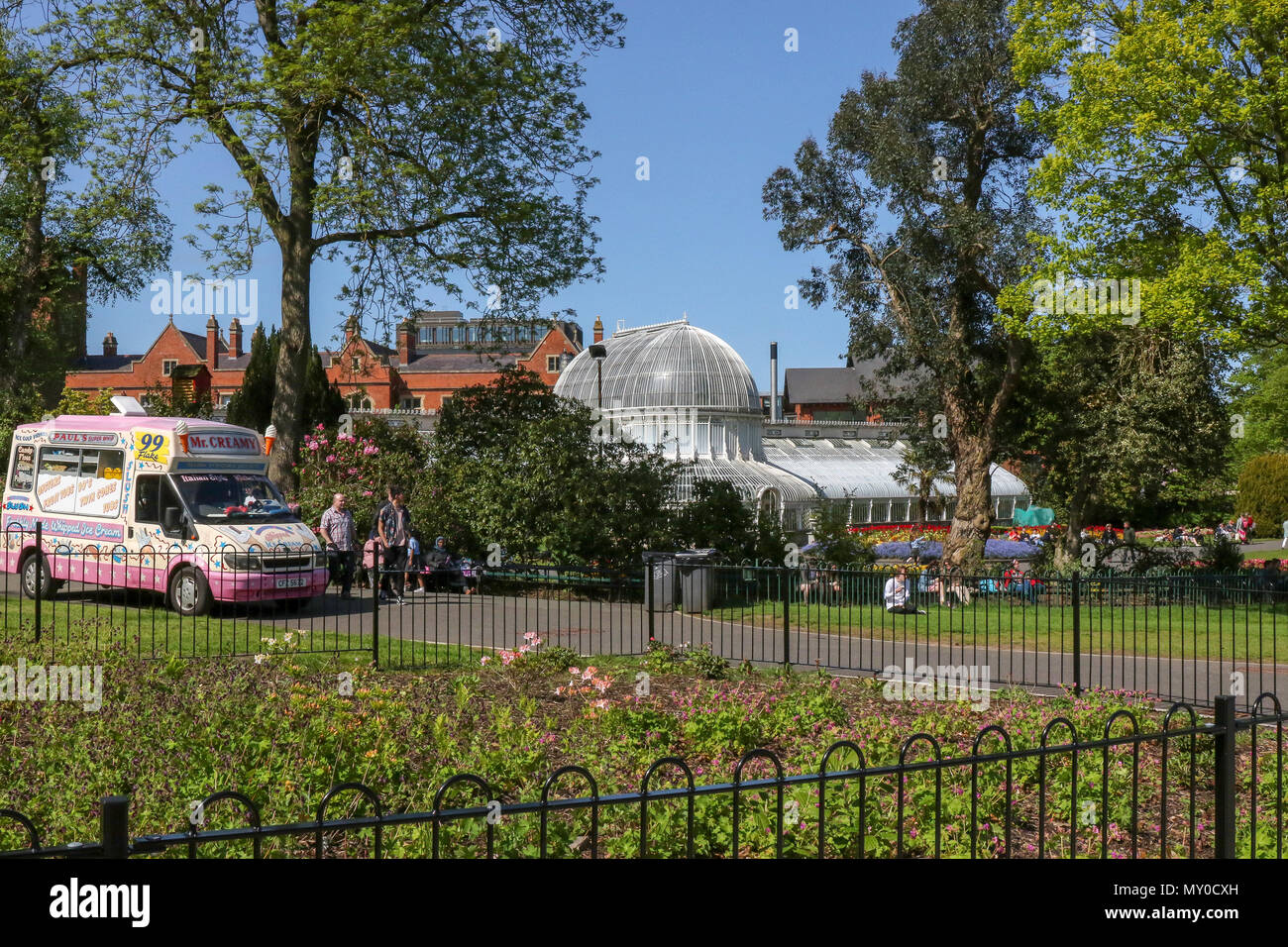 cream vans with roses