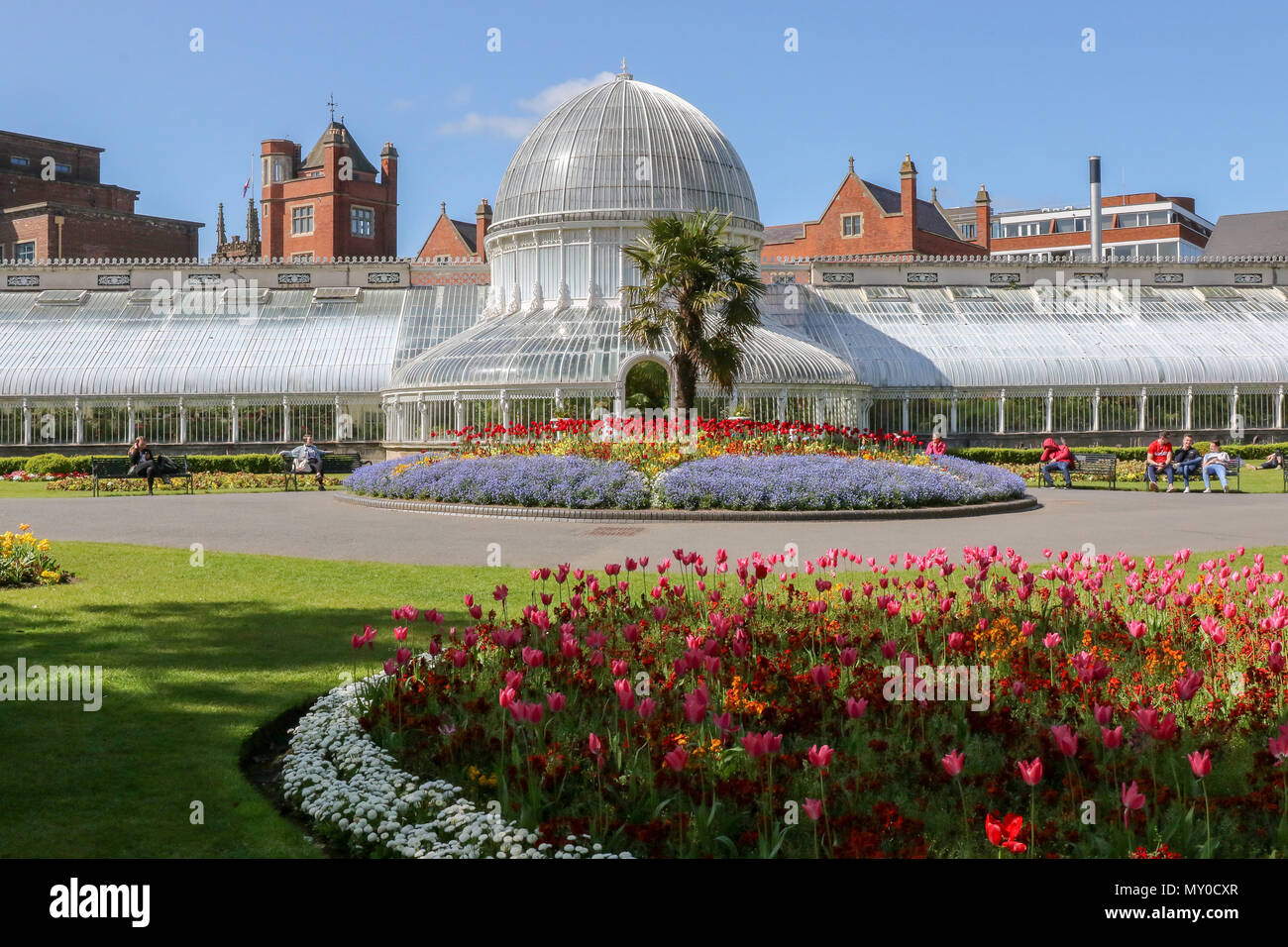 Palm house belfast botanic hi-res stock photography and images - Alamy