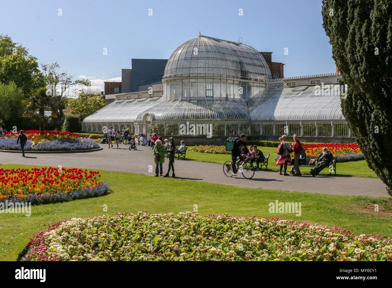 Spring flowerboards hi-res stock photography and images - Alamy