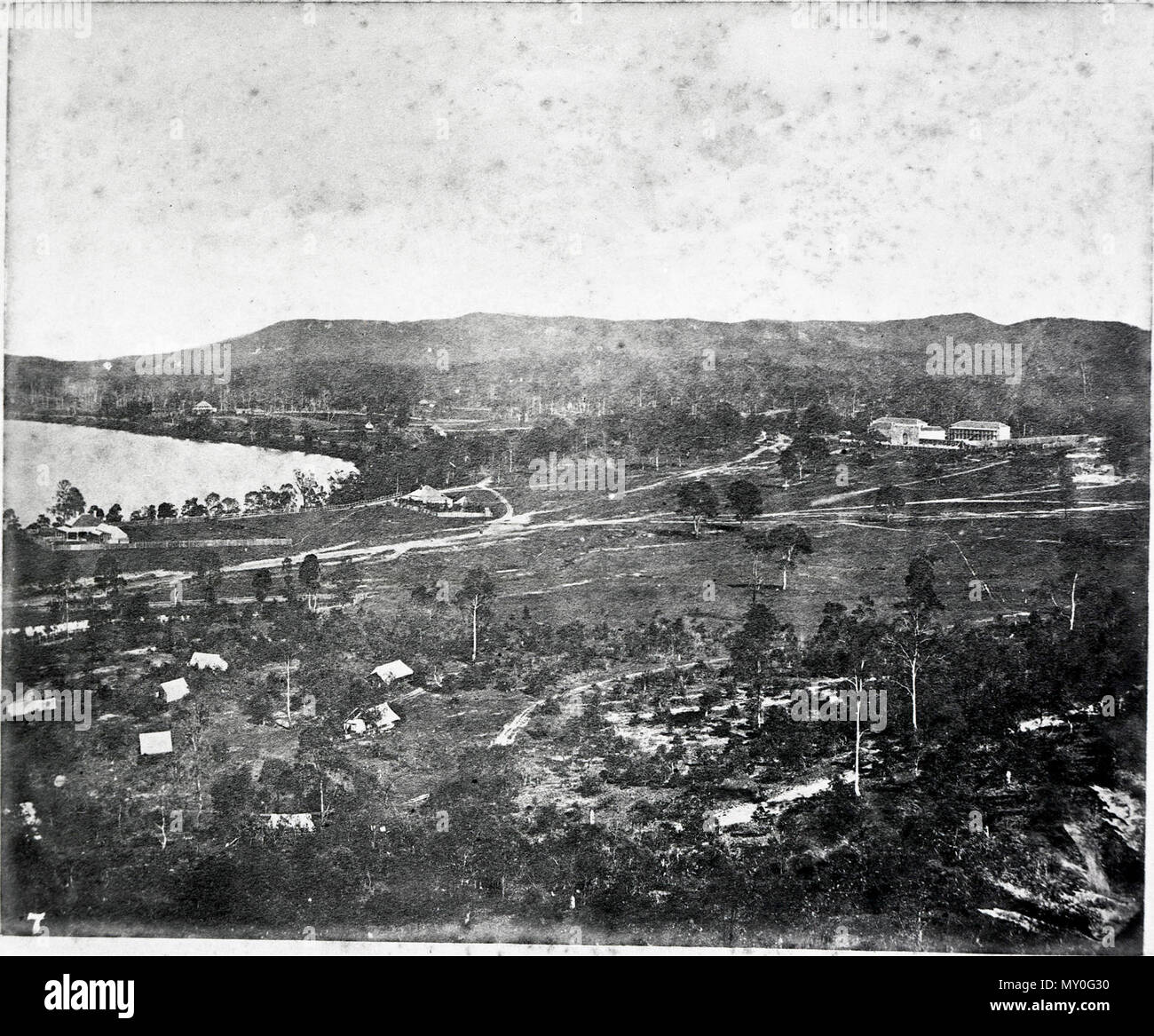 Nelso hi-res stock photography and images - Alamy