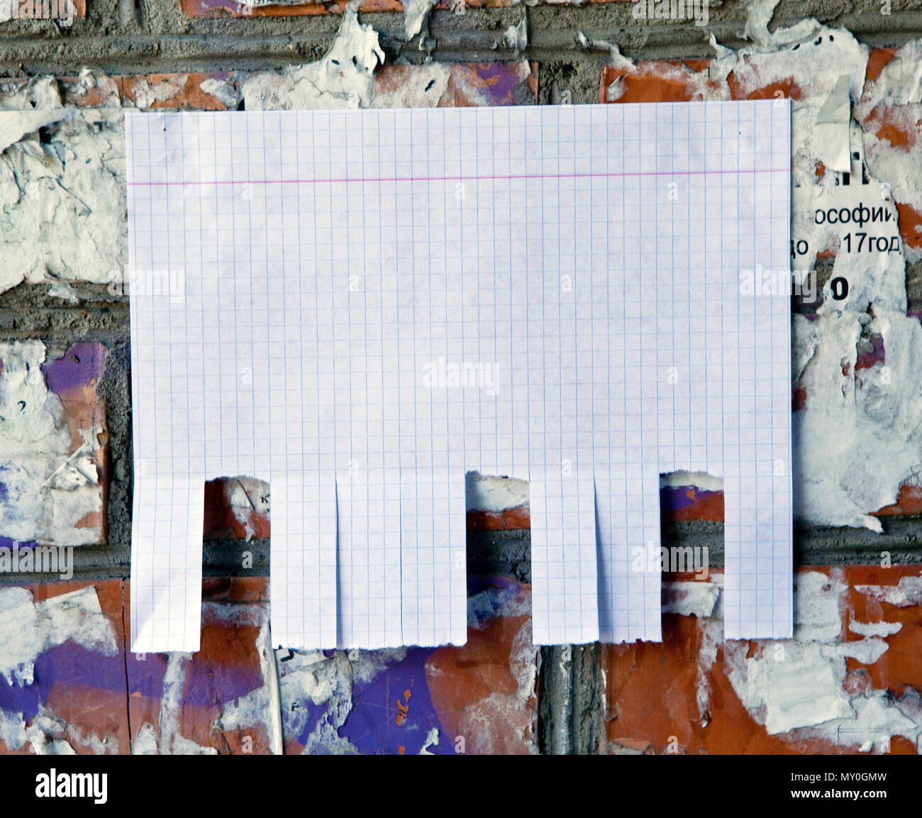blank white paper with tear off tabs stock photo 188712521 alamy