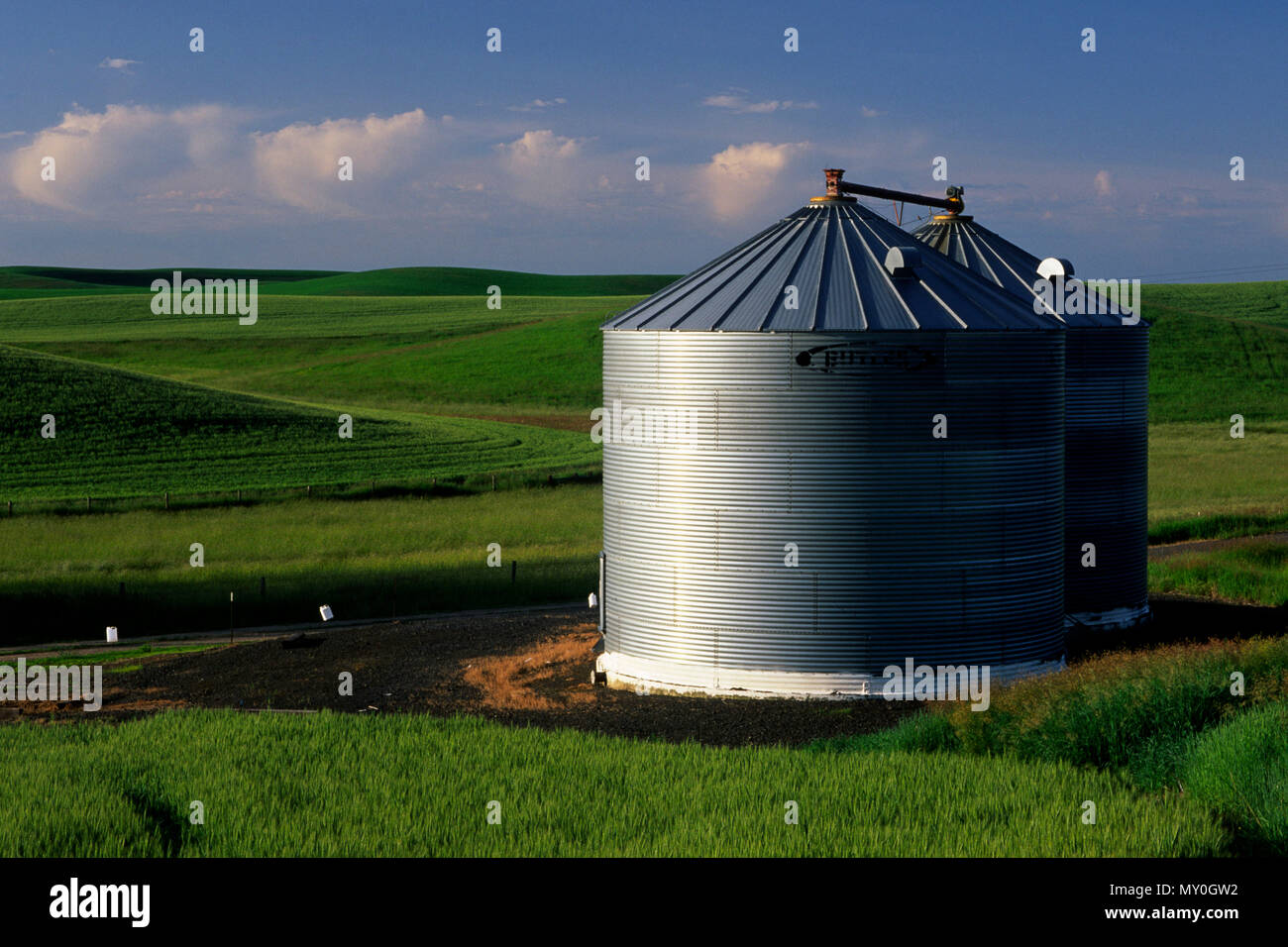 Palouse grain bins, Whitman County, Washington Stock Photo Alamy