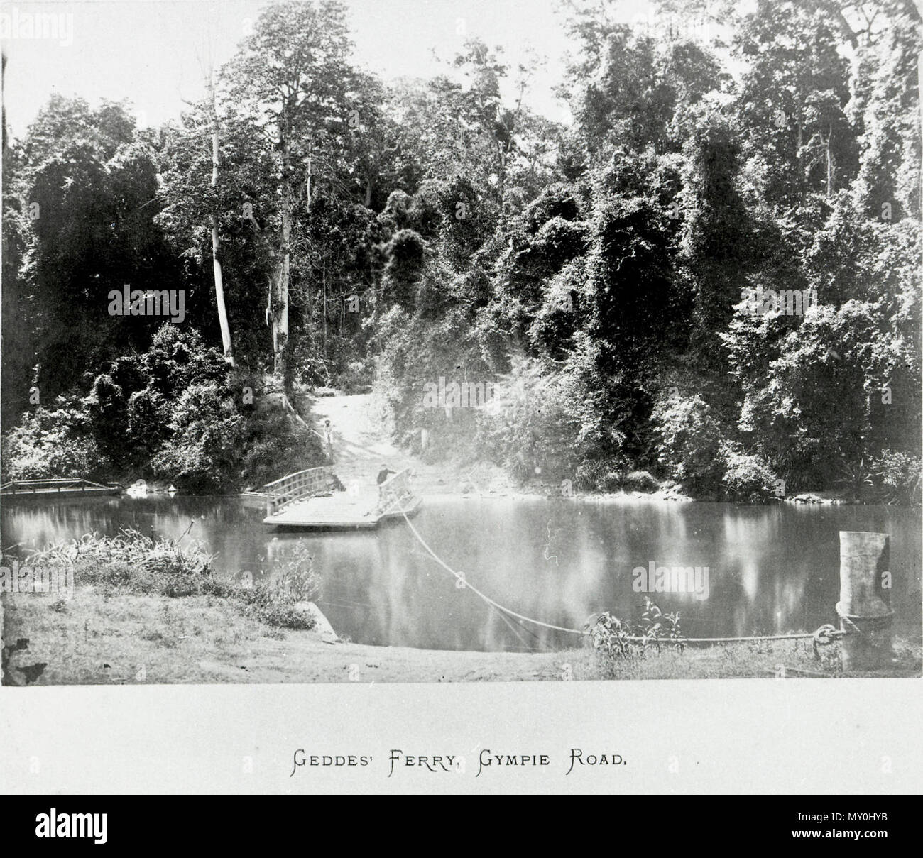 Wide bay australia login