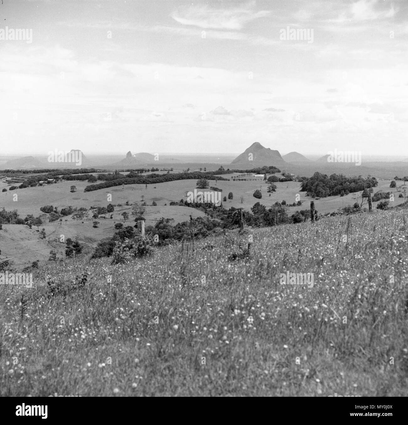 Glass House Mountains, December 1970 Stock Photo Alamy