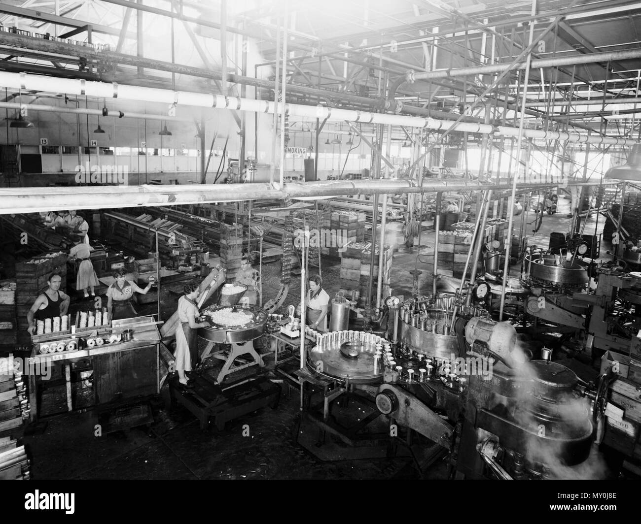 Golden Circle cannery, Northgate, 1956. The Golden Circle cannery was