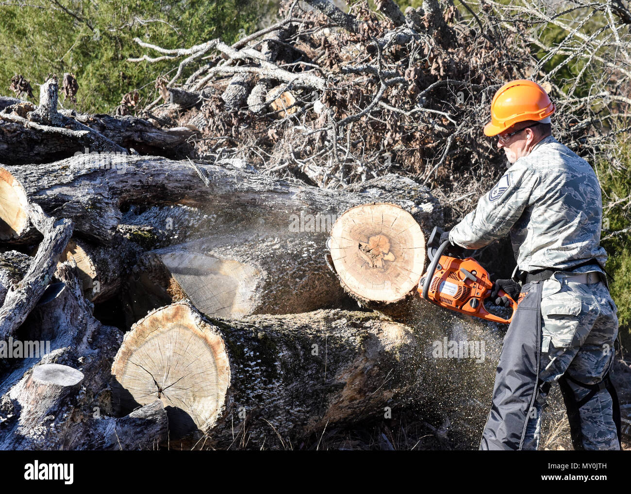 Chains of chainsaws hires stock photography and images Alamy