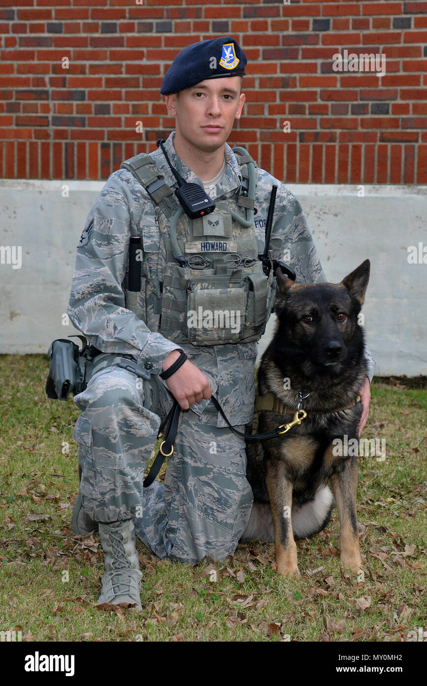 U.S. Air Force Senior Airman Benjamin Howard, 633rd Security Forces Squadron military working dog handler, works as MWD team with Rony, a 633rd SFS MWD at Joint Base Langley-Eustis, Va., Dec. 14, 2016. MWD teams provide a unique ability to the 633rd SFS, depending on the team’s training, to detect explosives, narcotics, or people. (U.S. Air Force photo by Airman 1st Class Tristan Biese) Stock Photo