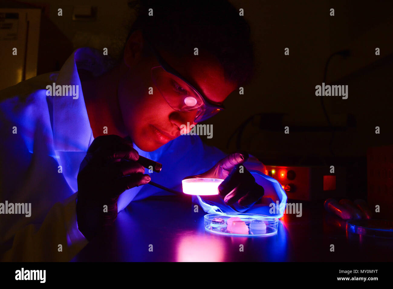 Researcher Nile Bunce uses ultraviolet light to illuminate fluorescent