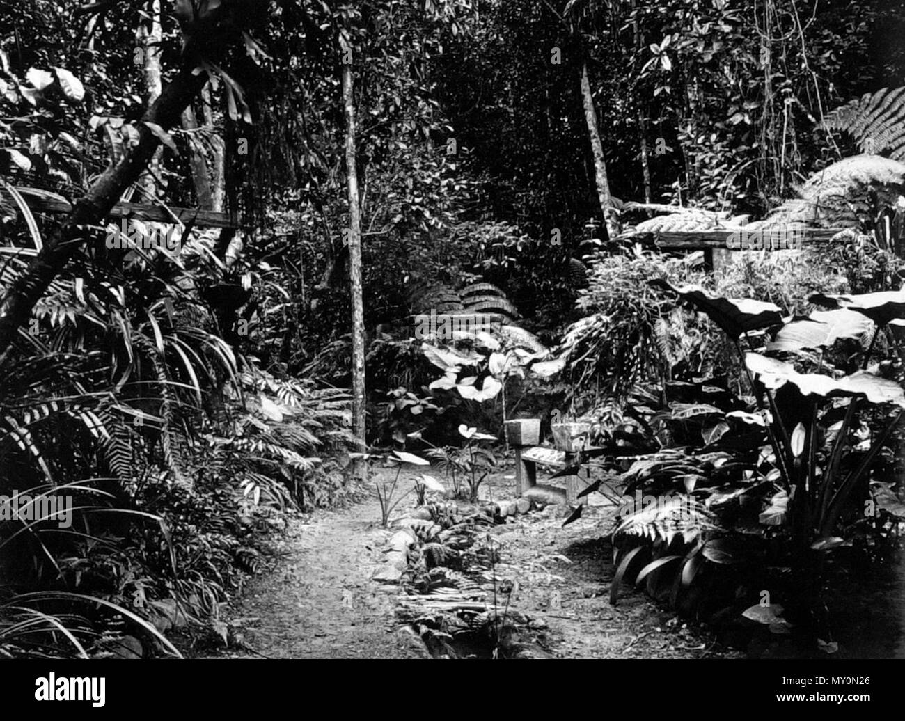 Innisfail queensland Black and White Stock Photos & Images Alamy