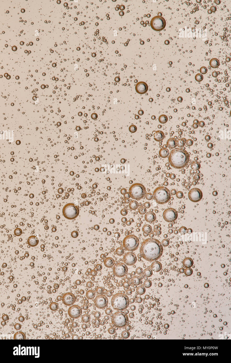 Replication Bubble High Resolution Stock Photography and Images - Alamy