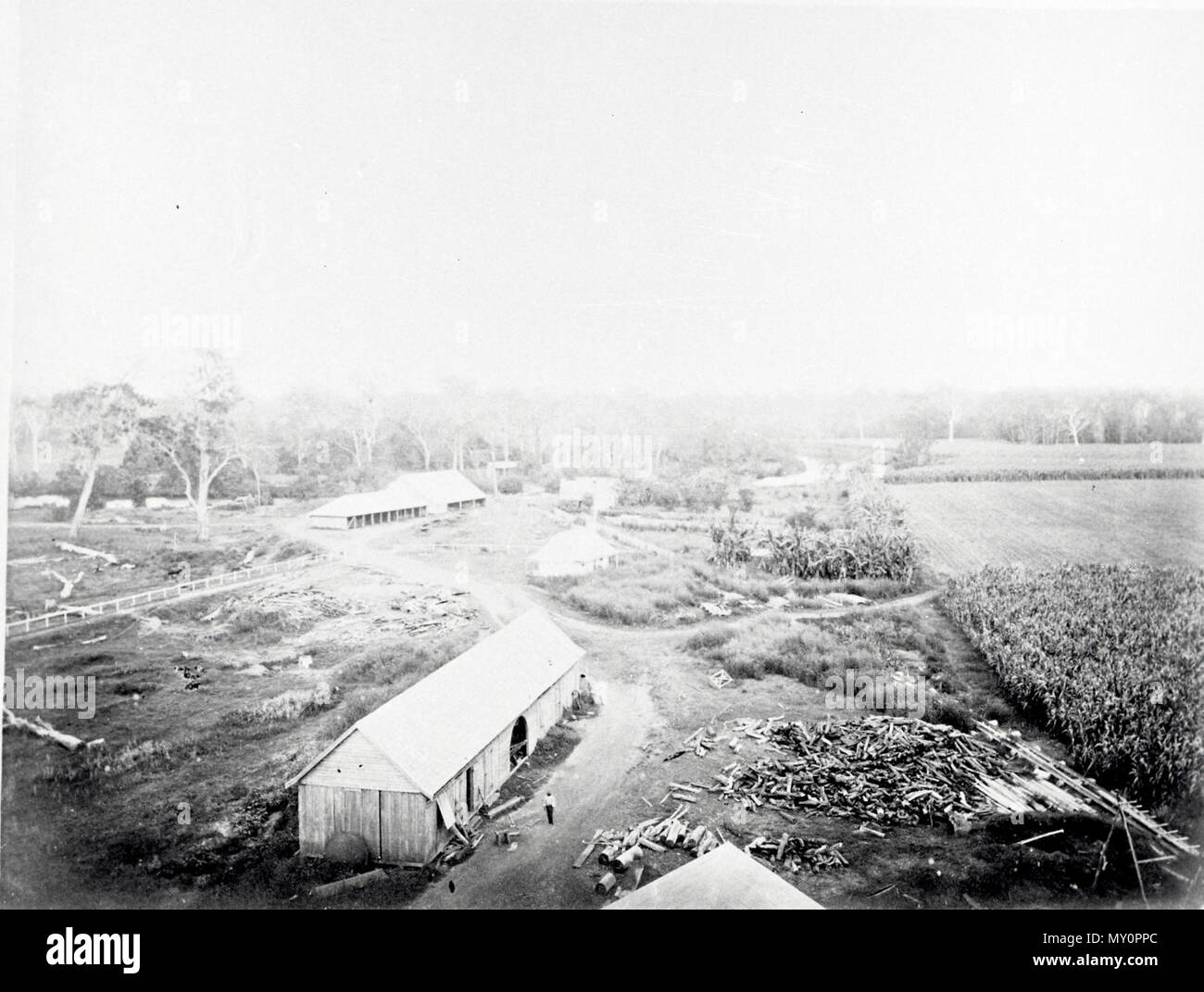Raff's Sugar Plantation, Morayfield, 1874. The Queenslander 18 September 1869  HIS EXCELLENCY THE EARL OF BELMORE. 20325754 )   The general topic of conversation early in the week was the expected arrival of His Excellency the Earl of Belmore, Governor of the parent colony. So much had been beard of the many excellent qualities of His Excellency, both in his important position as Governor of New South Wales, and as a private gentleman, that many persons were desirous of welcoming him to our colony.   Notwithstanding the unpropitious weather, His Excellency Earl Belmore visited Mr. Raff's sugar Stock Photo