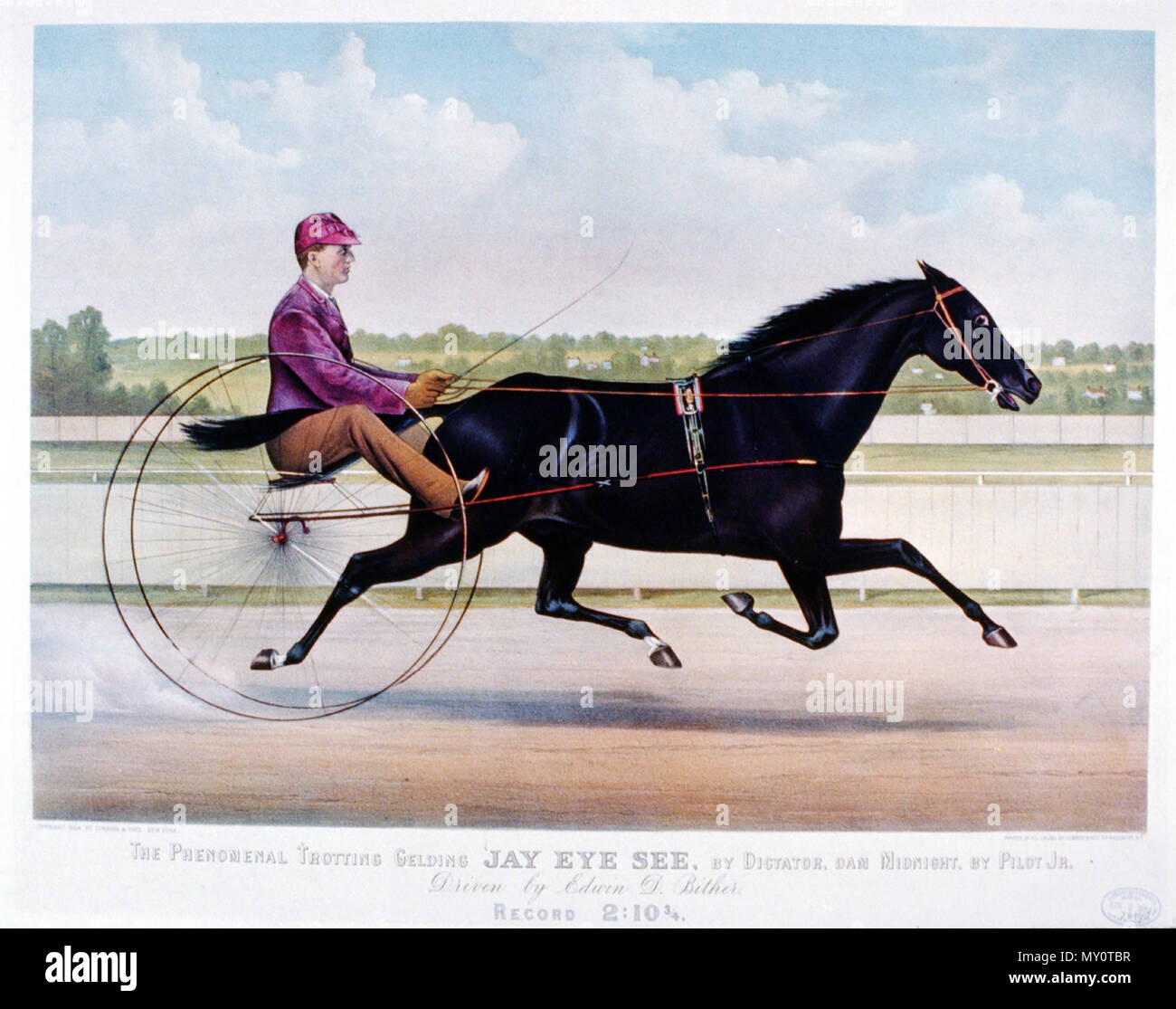 1800s Harness Racers High Resolution Stock Photography and Images - Alamy