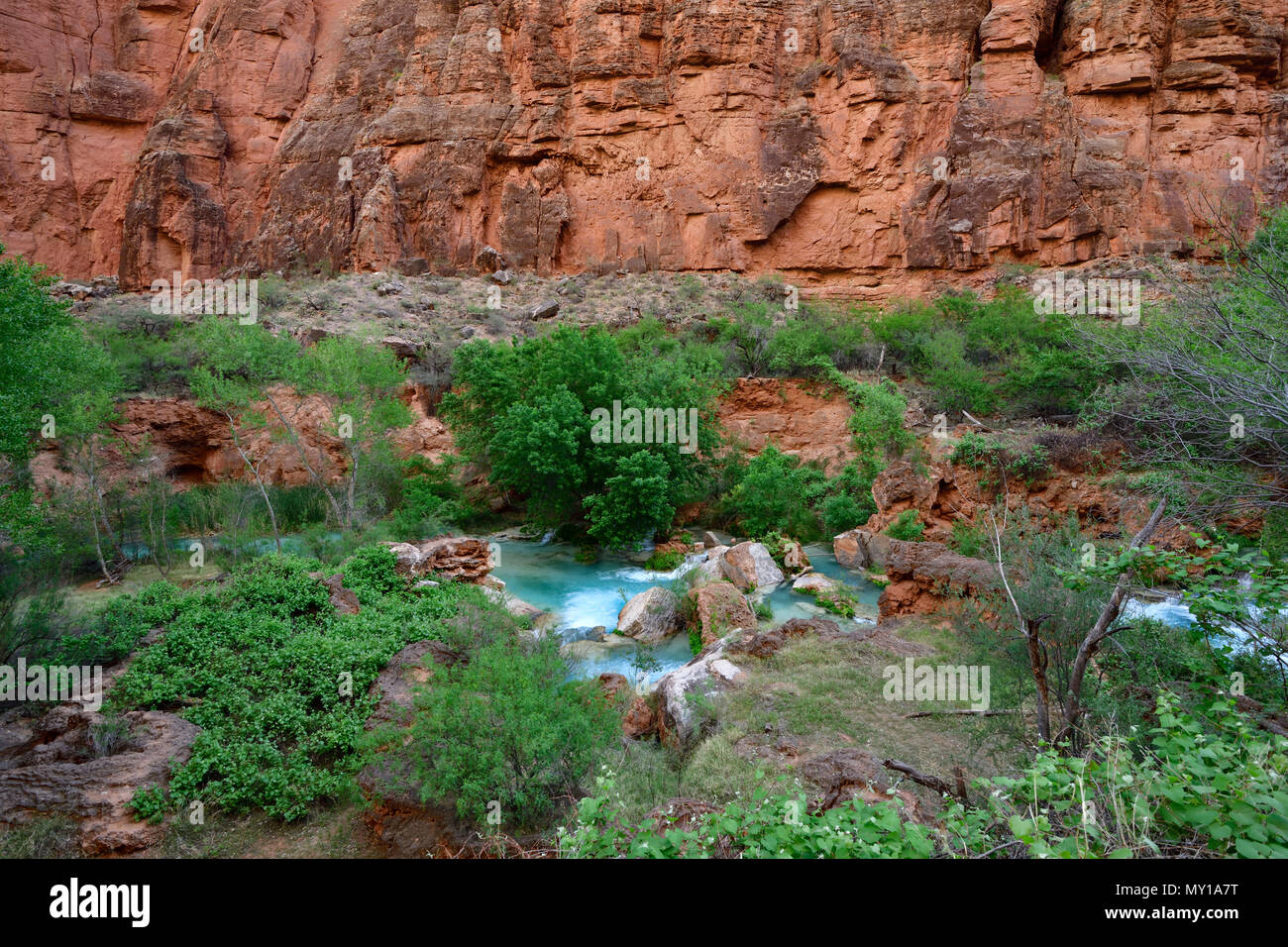 Havasu Creek near Supai Village -  A view from Supai Trail Stock Photo