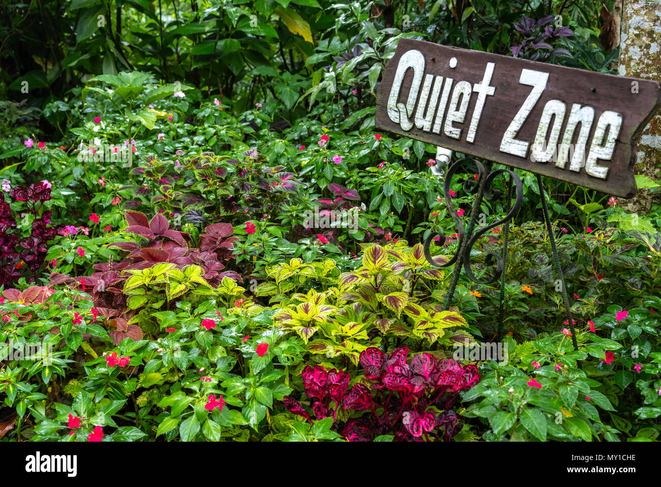 Flower garden at Tagaytay, Philippines Stock Photo Alamy