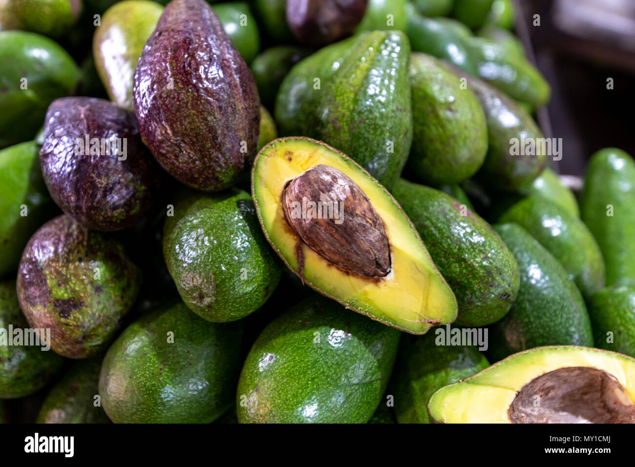 Tropical fruit Avocado, Philippines Stock Photo Alamy