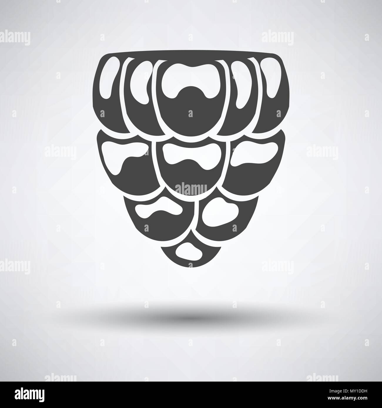 Icon of Raspberry on gray background, round shadow. Vector illustration ...