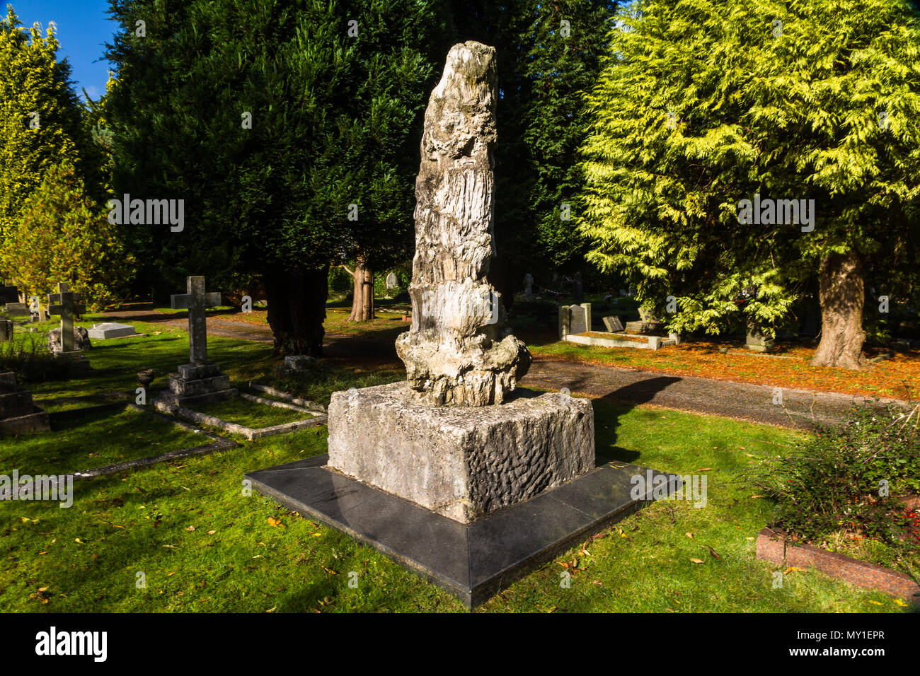 Petrified tree on top of grave of Alfred Wallace, Broadstone, Dorset, England, UK. Stock Photo