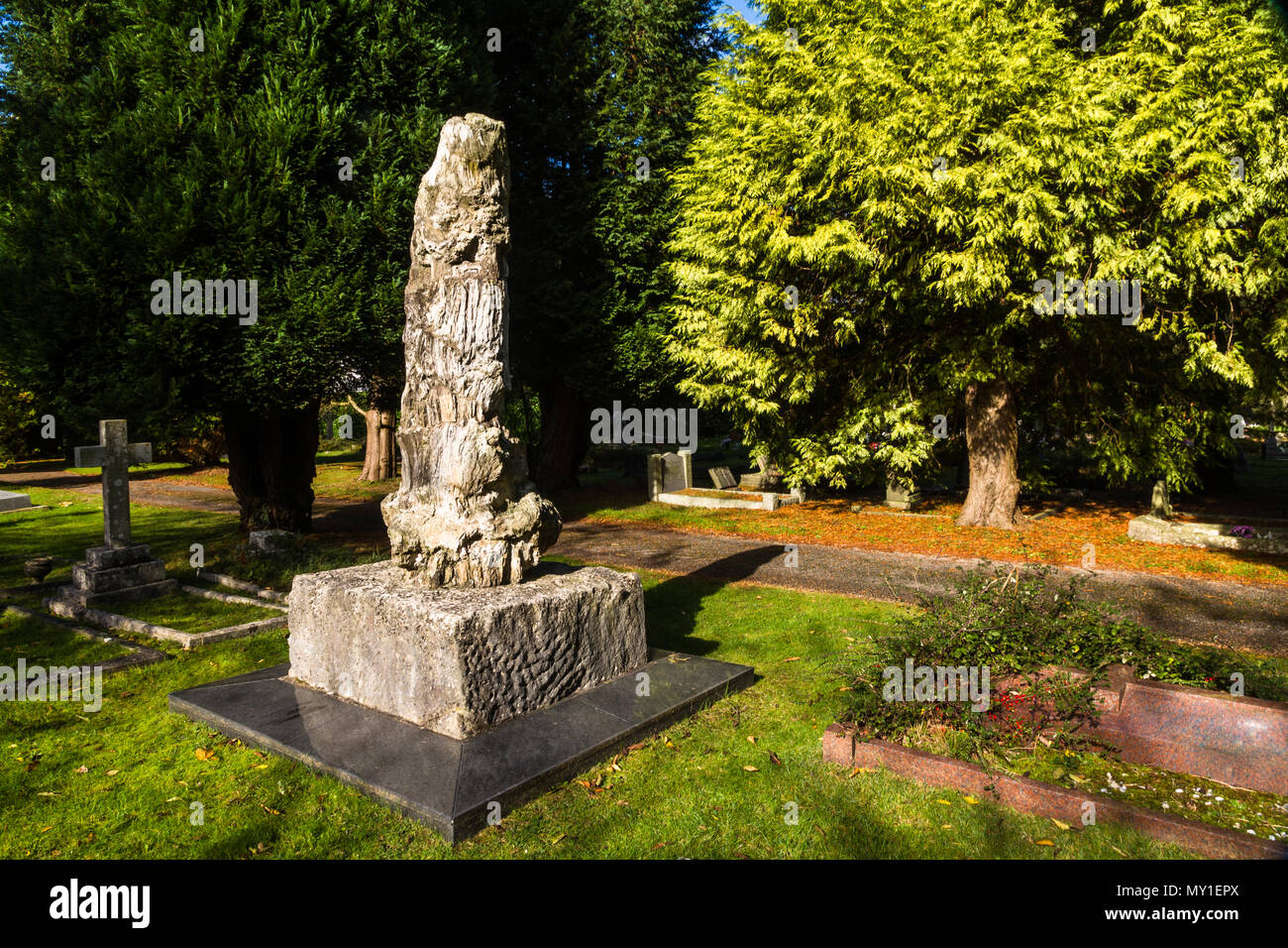 Petrified tree on top of grave of Alfred Wallace, Broadstone, Dorset