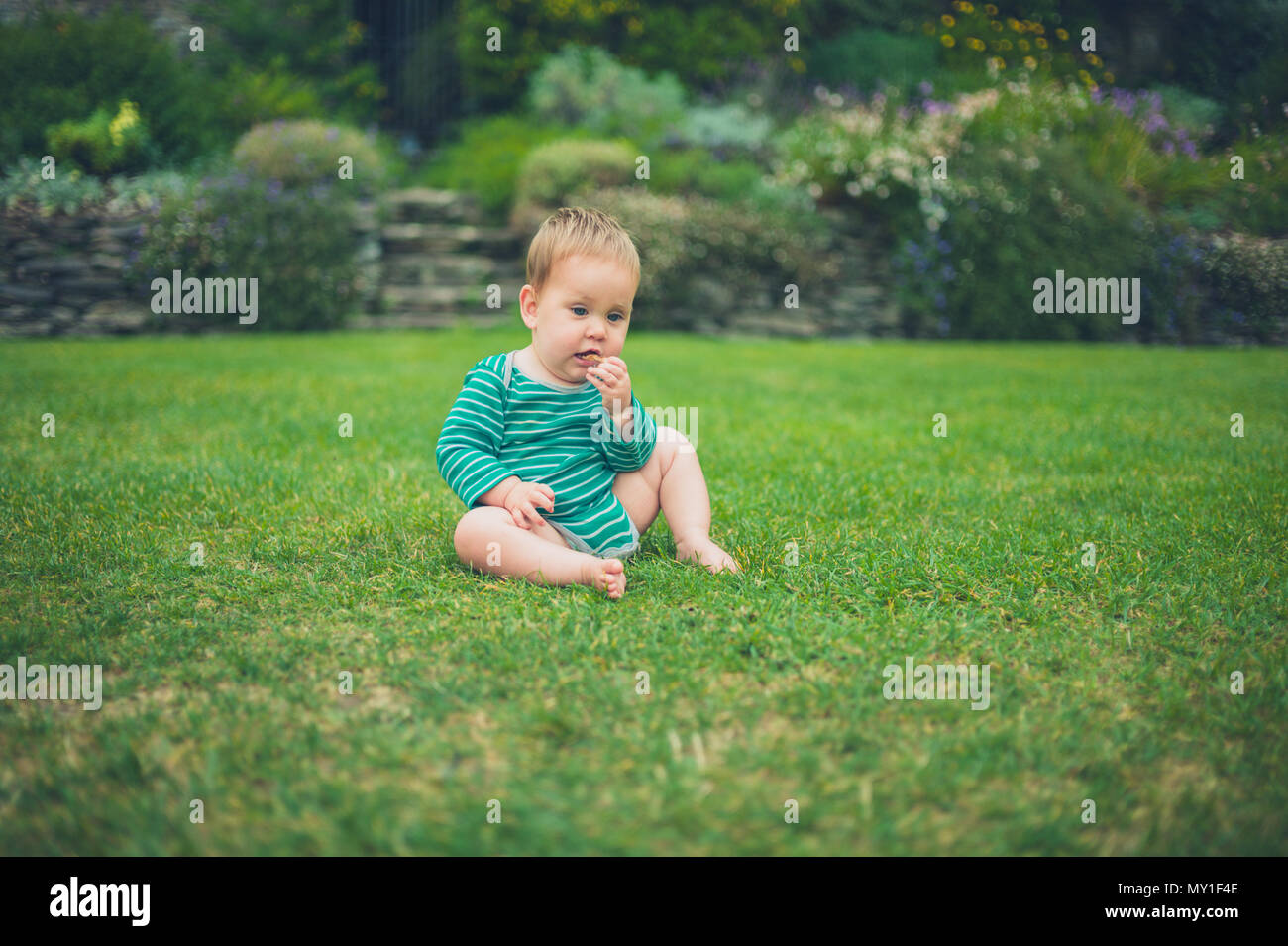 A cute little baby is sitting outside on a green lawn Stock Photo - Alamy