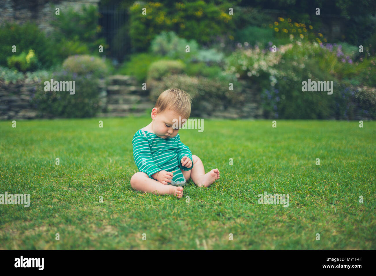 A cute little baby is sitting outside on a green lawn Stock Photo - Alamy