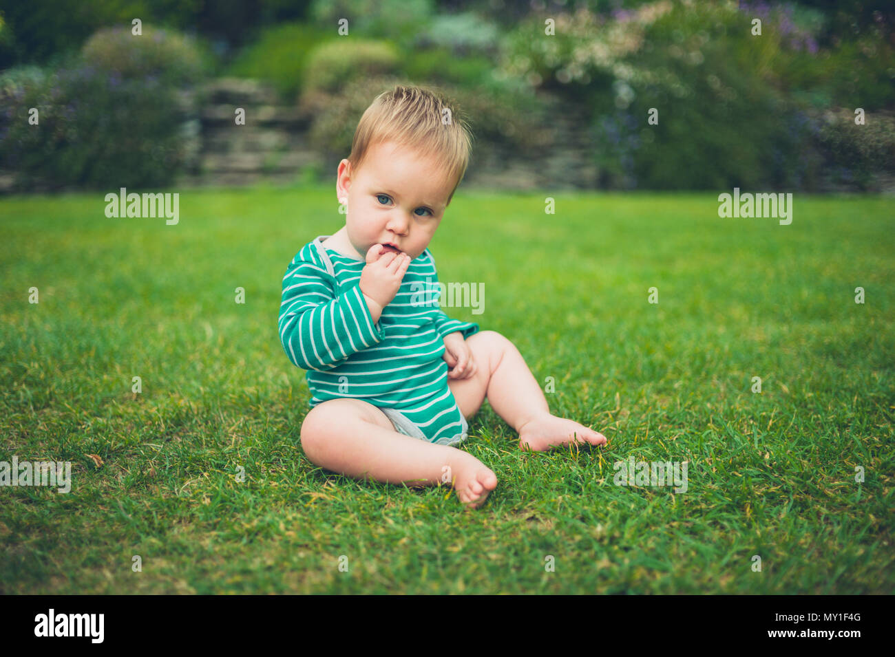 A cute little baby is sitting outside on a green lawn Stock Photo - Alamy